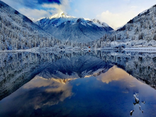 Mirroring of Dagu