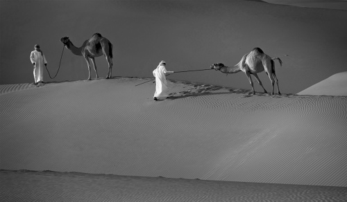 Try in desert.