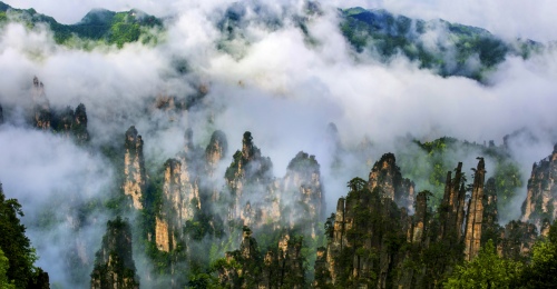The fog is all over Tianzi mountain