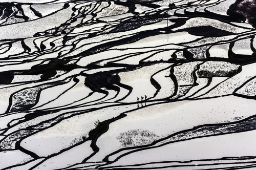 Yue Qi