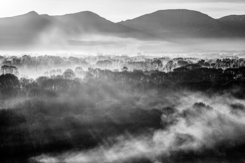 The scenery in morning fog 3