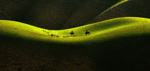 Back pasture