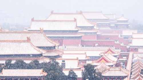 Palace wall in snow