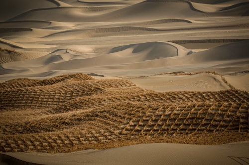 Prevent and control desertification