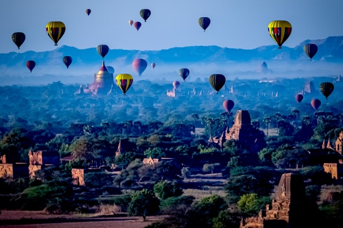 Journey of pagoda forest