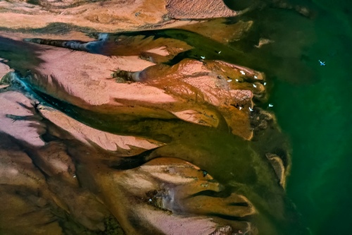 Spirit on the Wetland