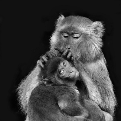 Mom at work