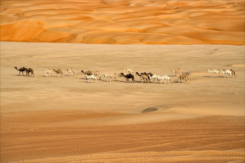 Caravan at LIWA