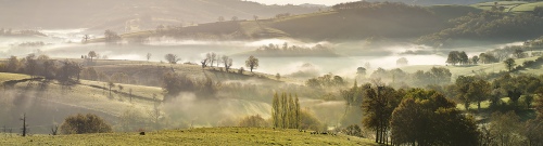 BRUMES MATINALES