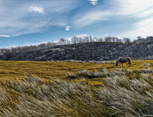 ST SAUVEUR 2