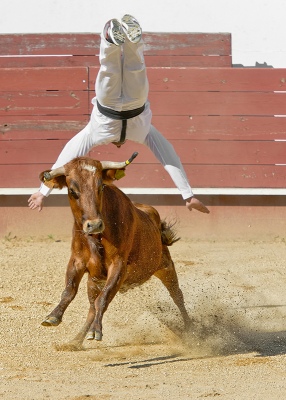 SAUTEUR 1