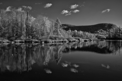 dreamlike