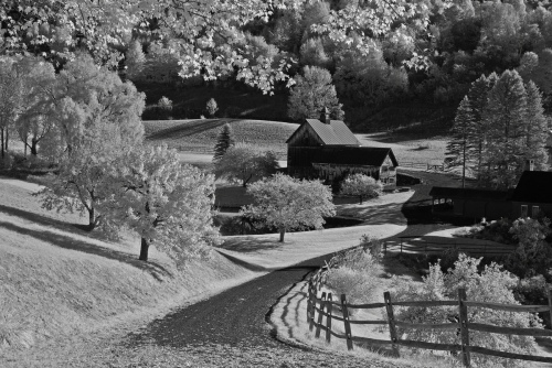 Tranquil Little Village