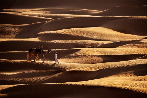 Amal Alameer