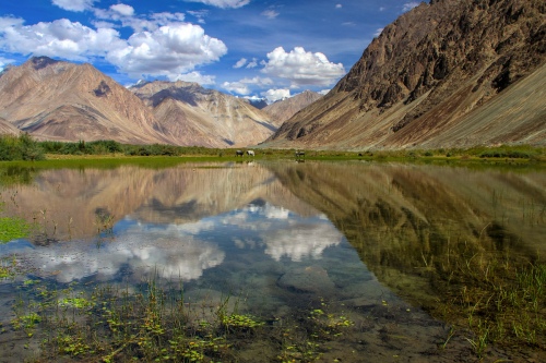 Reflections on the Himalaya