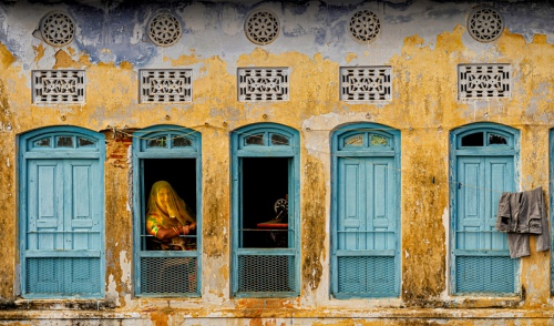 Window view