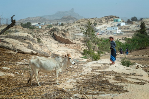 Village