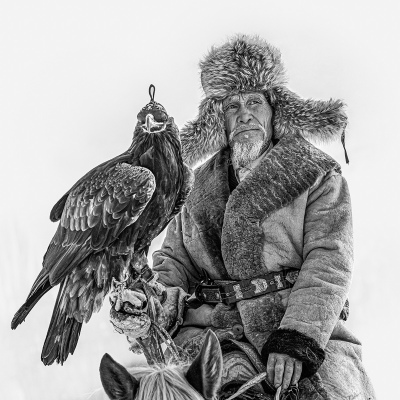 The falcon