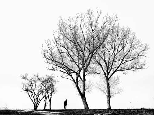 Alone