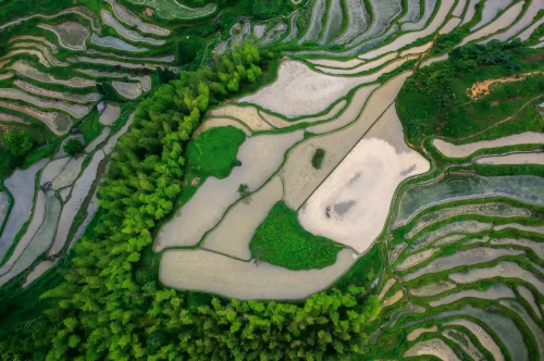 Cultivating 2