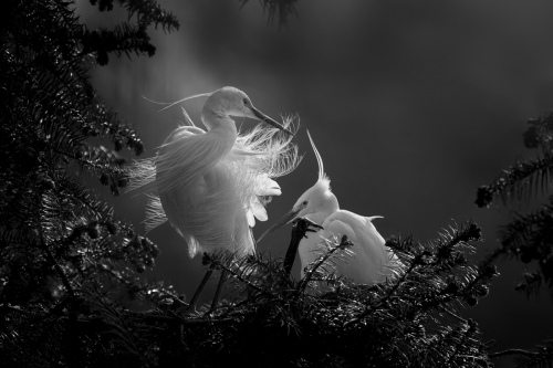 Chen Kunping	