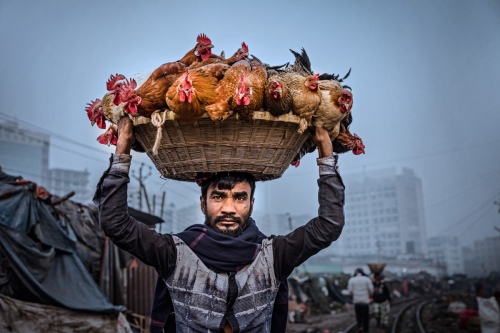 The man selling chicken
