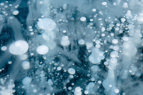 Ice flower