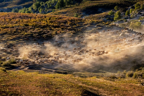 Transition in the Wilderness