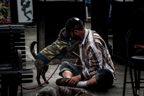 Tramps and dogs