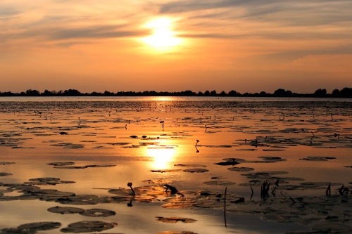 Landscape2