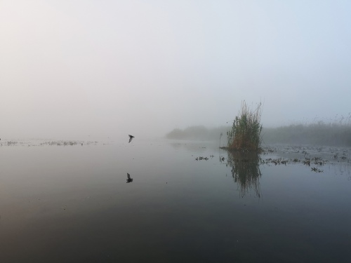 Landscape5