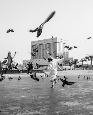 Birds Love.