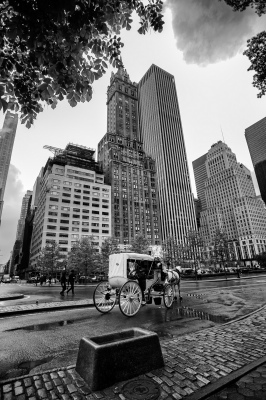 New York city