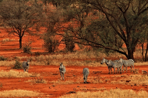 KENYA_3