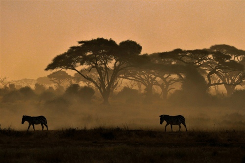 KENYA_4