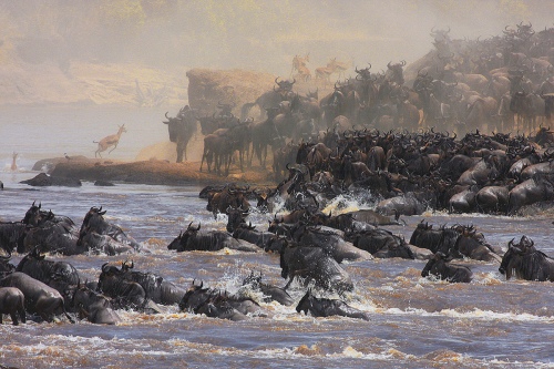 LIFE OF MARA RIVER