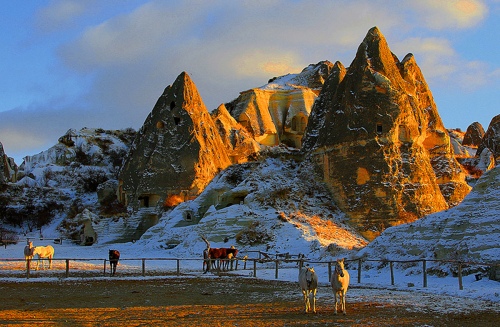 COUNTRY OF HORSES