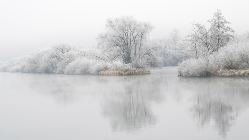 Landscape - 003
