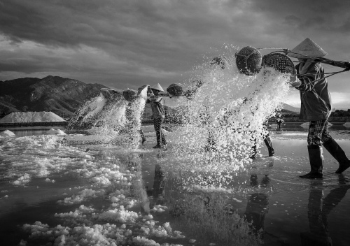 The Salt-field at Work