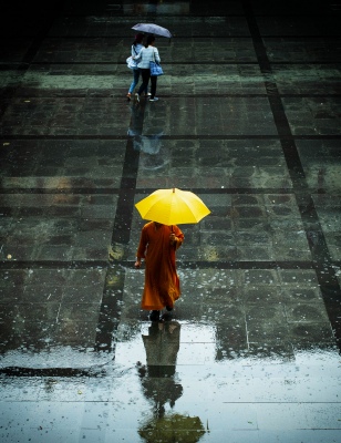 Walking in the Rain
