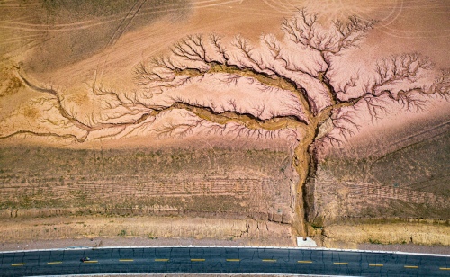 Mother Nature