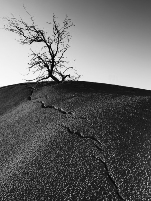desert crack