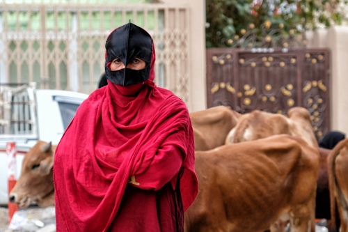 Red in Nazwa