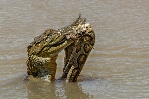 Its my Catch