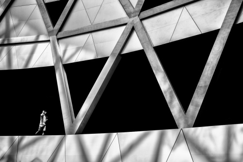  W LINES