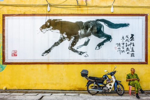  MAN AND A HORSE