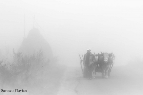 Morning road