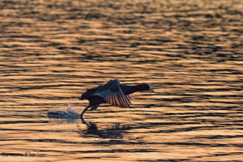 Stepping on troubled waters