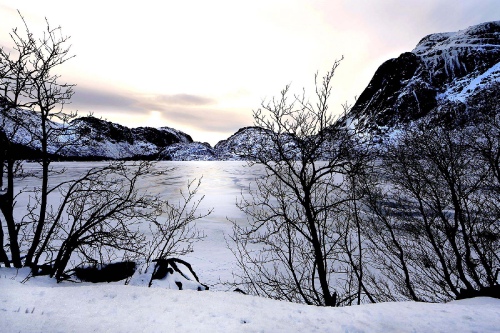 Shining Snow