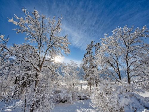 snowscape